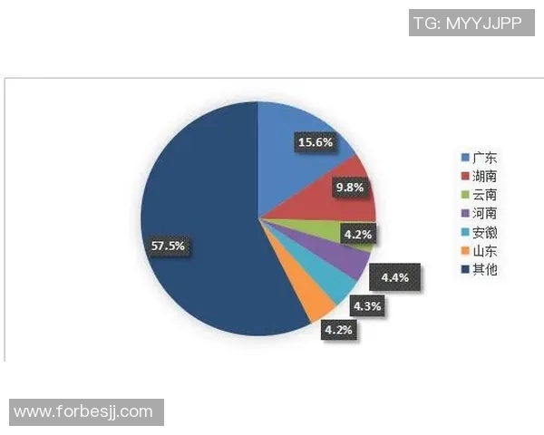电竞比分热议CSGOWE个人能力的全面提升与未来发展趋势分析 电竞比分热议CSGOWE个人能力的全面提升与未来发展趋势分析